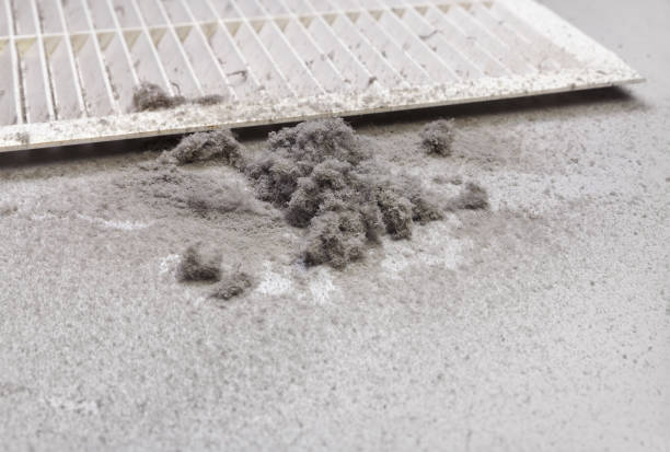 Best Professional Duct Cleaning Services  in Robert Lee, TX