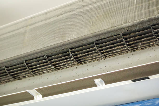 Best Affordable Duct Cleaning Services  in Robert Lee, TX